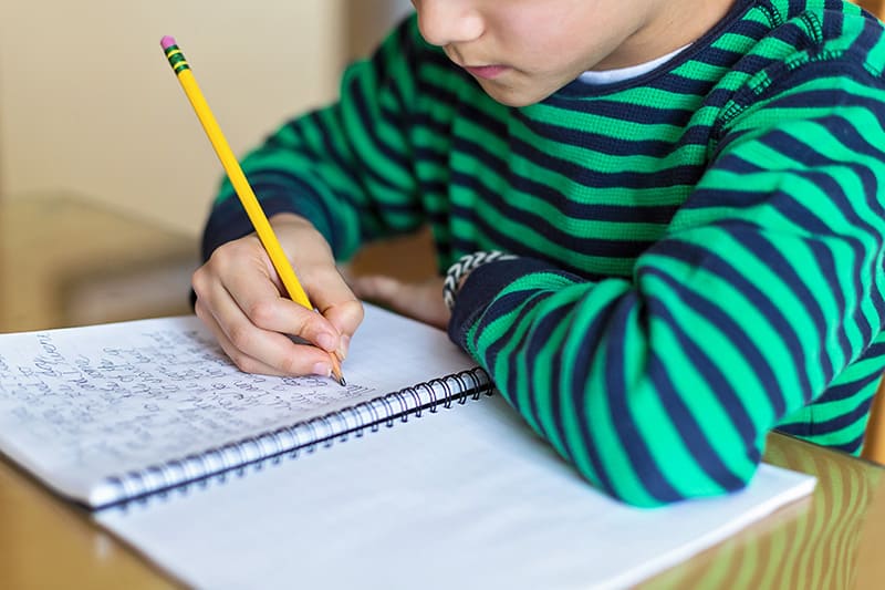 Meckis Förderstudio Meckis Förderstudio