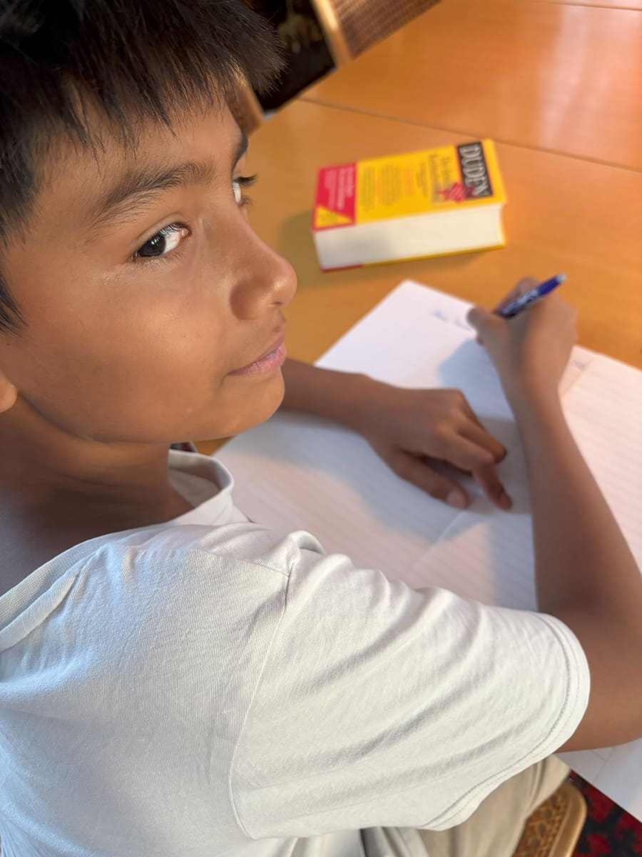 Meckis Förderstudio Meckis Förderstudio